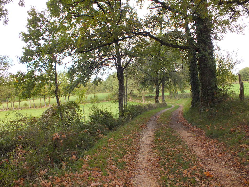L'Oustal De Peiro Βίλα Le Bourg Δωμάτιο φωτογραφία